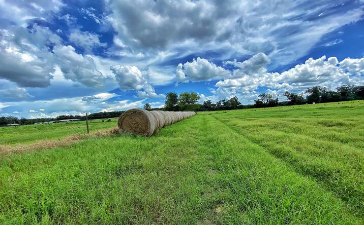 image of property at 0000 SW COUNTY ROAD 344 Trenton FL 32693