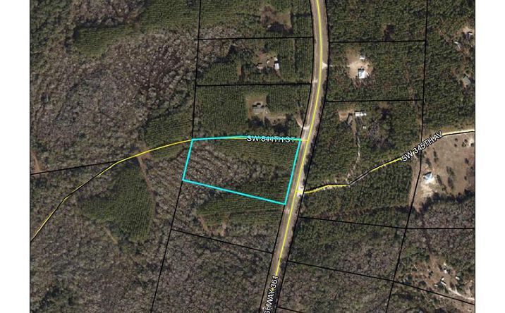 Pictures of Land property located at County Road 361, Steinhatchee, FL 32359 for sales - image #1