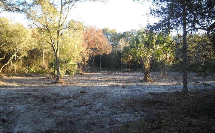 image of property at 125 NE 465 AVE Cross City North FL 32680