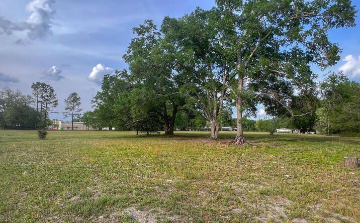 Pictures of Land property located at 00 N Main St, Bell, FL 32619 for sales - image #1