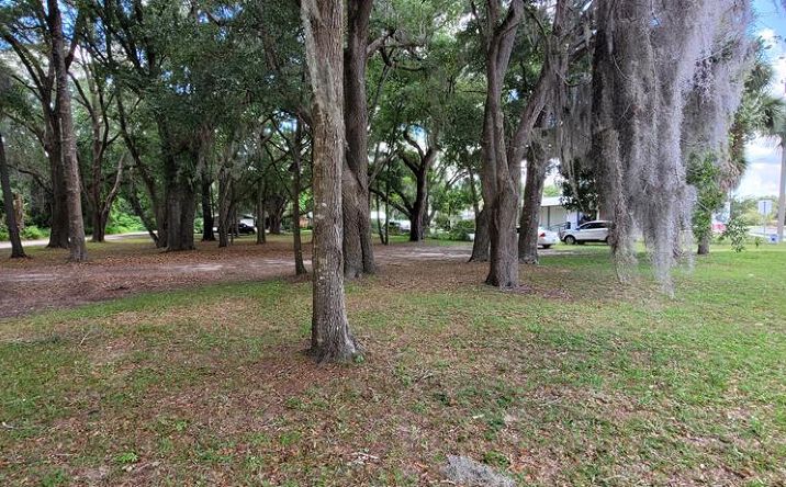 Pictures of Land property located at 45 & 46 NE 4th Ave, Chiefland, FL 32626 for sales - image #1