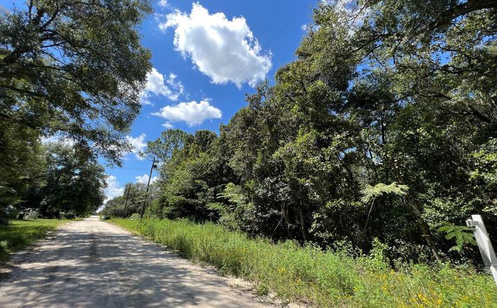 Pictures of Land property located at 0 NE 157th Ave, Williston, FL 32696 for sales - image #1