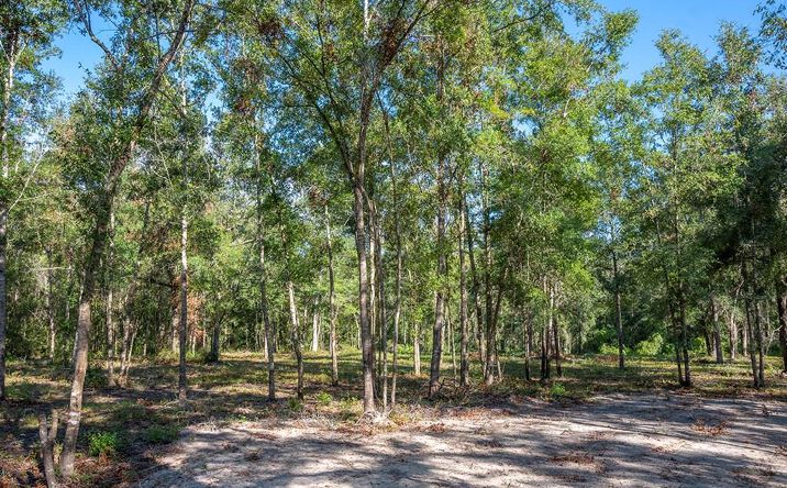 Pictures of Land property located at 428 NE 582nd Ave, Old Town, FL 32680 for sales - image #1