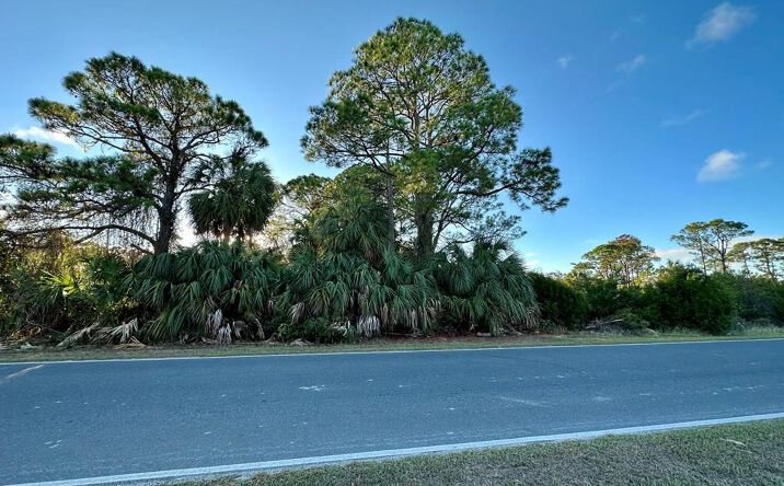 Pictures of Land property located at 5 Lots Gulf Blvd, Cedar Key, FL 32625 for sales - image #1