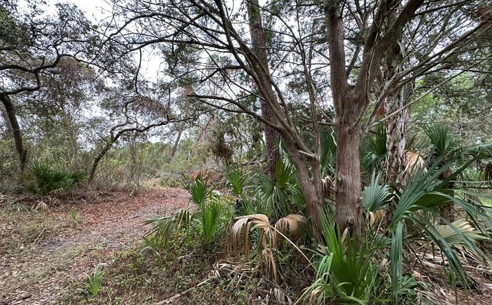 Pictures of Land property located at 5 Lots Ingleside Pl, Cedar Key, FL 32625 for sales - image #1