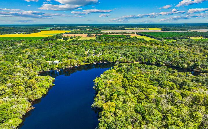Pictures of Land property located at 00 NE 519th Ave, Old Town, FL 32680 for sales - image #1