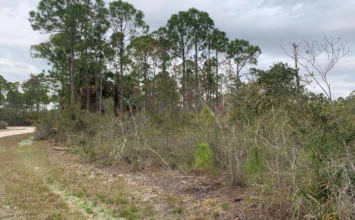 Pictures of Land property located at 00 153rd Ter, Cedar Key, FL 32625 for sales - image #1