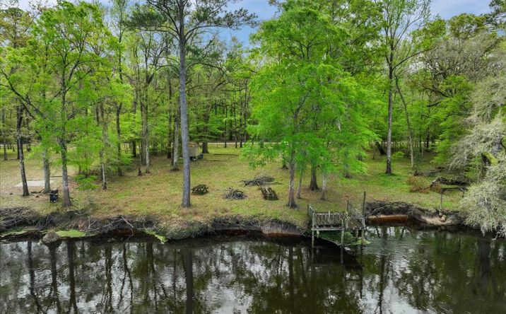 Pictures of Land property located at 7960 SW 25th Pl, Bell, FL 32619 for sales - image #1