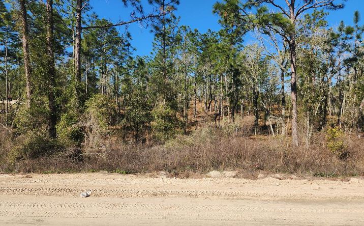 Pictures of Land property located at SE 148th Ave, Williston, FL 32696 for sales - image #1