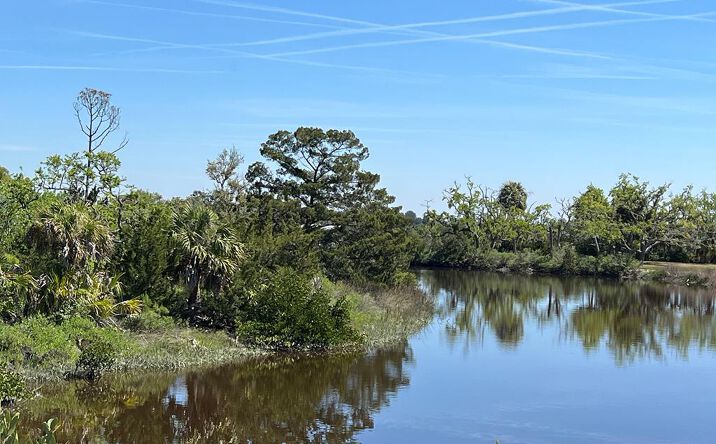 Pictures of Land property located at Rye Key Dr, Cedar Key, FL 32625 for sales - image #1