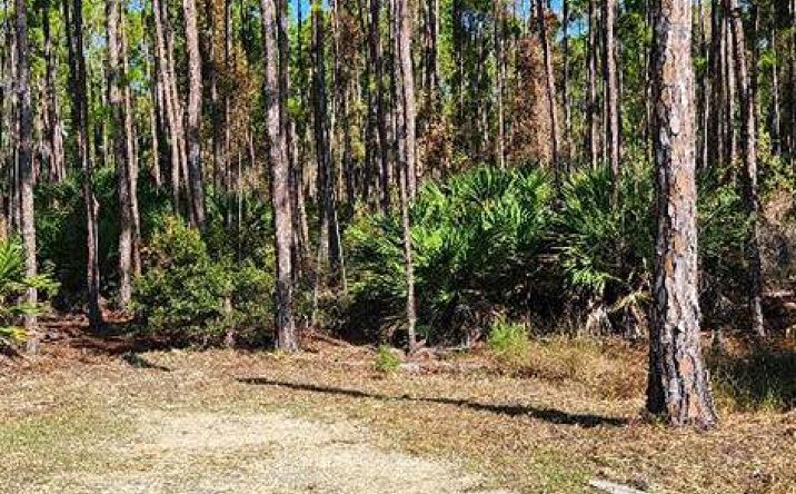Pictures of Land property located at LOT 9 SW 104th St, Cedar Key, FL 32625 for sales - image #1