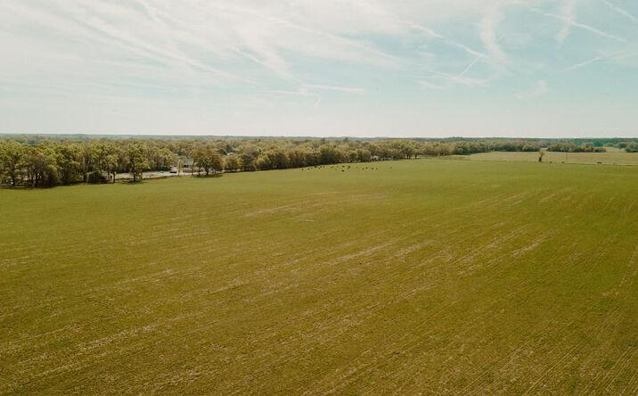 Pictures of Land property located at 000 SW 180th Ave, Dunnellon, FL 34432 for sales - image #1