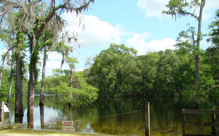 Pictures of Land property located at NE 127th St, Branford, FL 32008 for sales - image #1