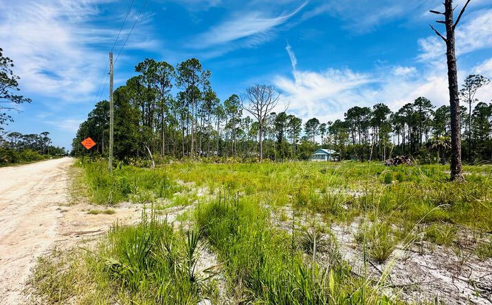 Pictures of Land property located at 0000 Pelican Pl, Perry, FL 32348 for sales - image #1