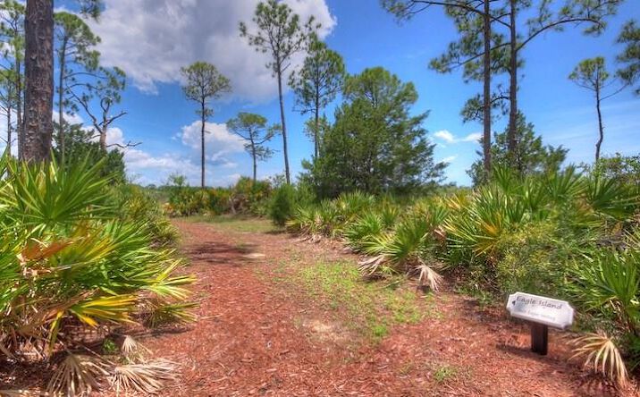 Pictures of Land property located at L 33&34 Museum Dr, Cedar Key, FL 32625 for sales - image #1
