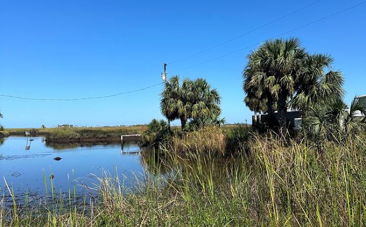 Pictures of Land property located at 0 SE Hwy 349, Suwannee, FL 32692 for sales - image #1