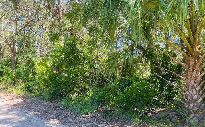 Pictures of Land property located at Lot 16 NW 110th Ave, Chiefland, FL 32626 for sales - image #1
