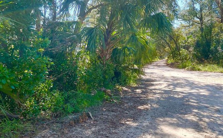 Pictures of Land property located at Lot 15 NW 110th Ave, Chiefland, FL 32626 for sales - image #1