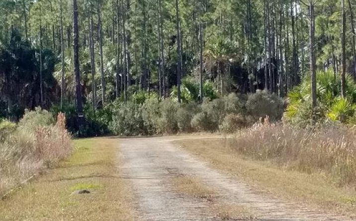 Pictures of Land property located at LOT 8 SW 104th St, Cedar Key, FL 32625 for sales - image #1