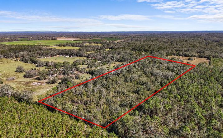 Pictures of Land property located at 000 113th Pl, Live Oak, FL 32060 for sales - image #1