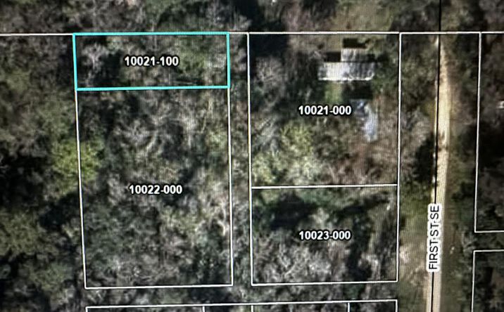 Pictures of Land property located at N Second Ave, Steinhatchee, FL 32359 for sales - image #1