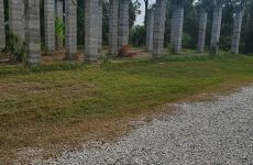 21751908