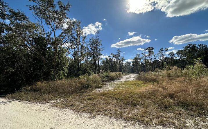 Pictures of Land property located at 293 NE 682nd Ave, Old Town, FL 32680 for sales - image #1
