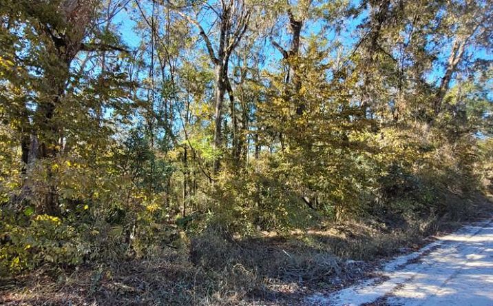 Pictures of Land property located at 00 NE 230th Ave, Old Town, FL 32680 for sales - image #1