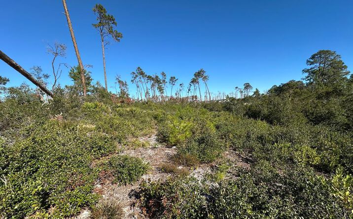 Pictures of Land property located at SW 129th Ave, Cedar Key, FL 32625 for sales - image #1