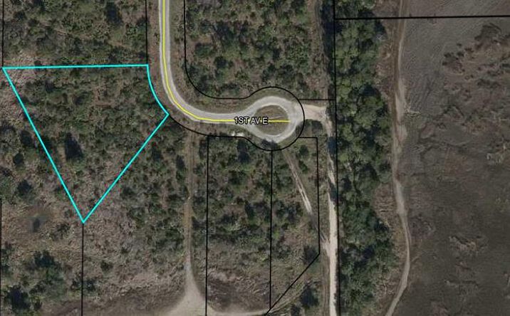 Pictures of Land property located at LOT 7 E 1st Ave, Horseshoe Beach, FL 32648 for sales - image #1
