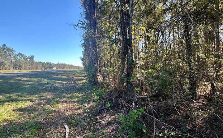 Pictures of Land property located at NW Hwy 19, Cross City, FL 32628 for sales - image #1