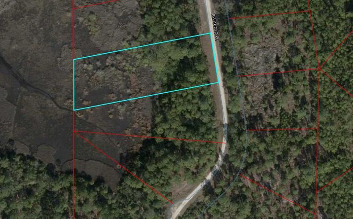 Pictures of Land property located at SW 102nd Pl, Cedar Key, FL 32625 for sales - image #1
