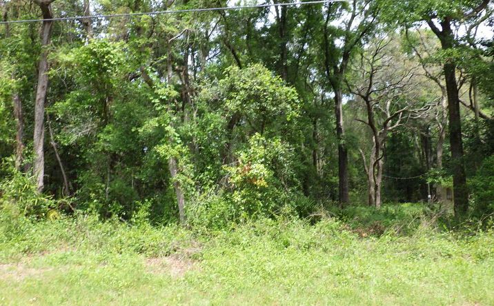 Pictures of Land property located at LOT 87 NW 168th Ln, Trenton, FL 32693 for sales - image #1