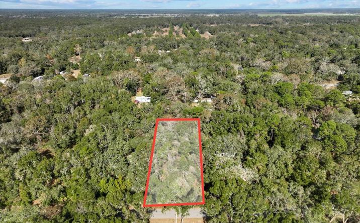 Pictures of Land property located at NW 166th St, Trenton, FL 32693 for sales - image #1
