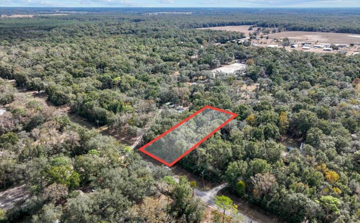 Pictures of Land property located at 1 NW 166th St, Trenton, FL 32693 for sales - image #1