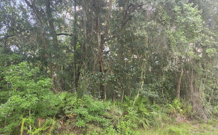 Pictures of Land property located at NW 86th St, Chiefland, FL 32626 for sales - image #1