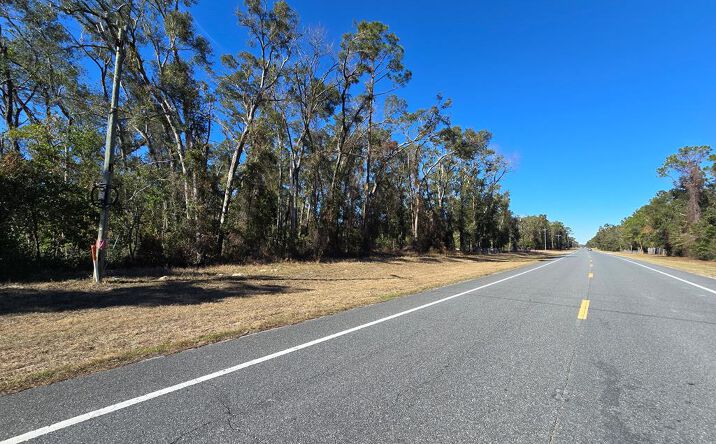 Pictures of Land property located at TBD NW Hwy 349, Old Town, FL 32680 for sales - image #1