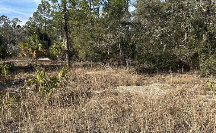 Pictures of Land property located at 000 SE 352nd St, Suwannee, FL 32692 for sales - image #1