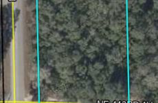 21753714