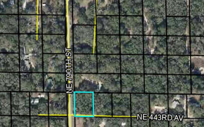 Pictures of Land property located at TBD NE 790th St, Old Town, FL 32680 for sales - image #1