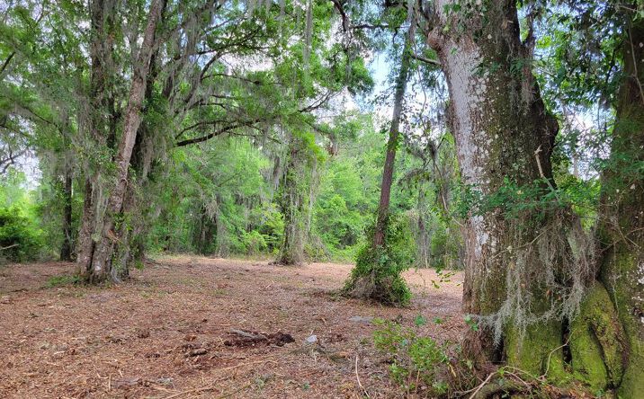 Pictures of Land property located at 0E0 SE 150th St, Starke, FL 32091 for sales - image #1