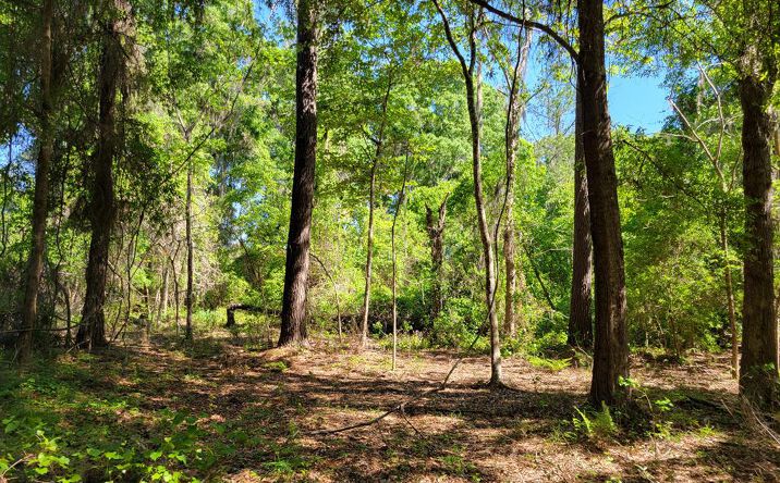 Pictures of Land property located at 0W0 SE 150th St, Starke, FL 32091 for sales - image #1