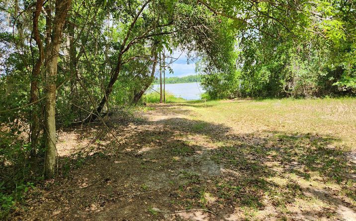 Pictures of Land property located at 122nd Ln, Hawthorne, FL 32640 for sales - image #1