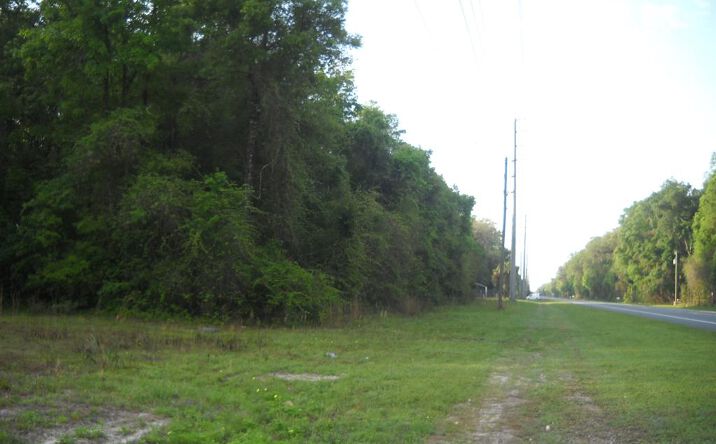 Pictures of Land property located at Lot 13 State Rd 349n, Old Town, FL 32680 for sales - image #1