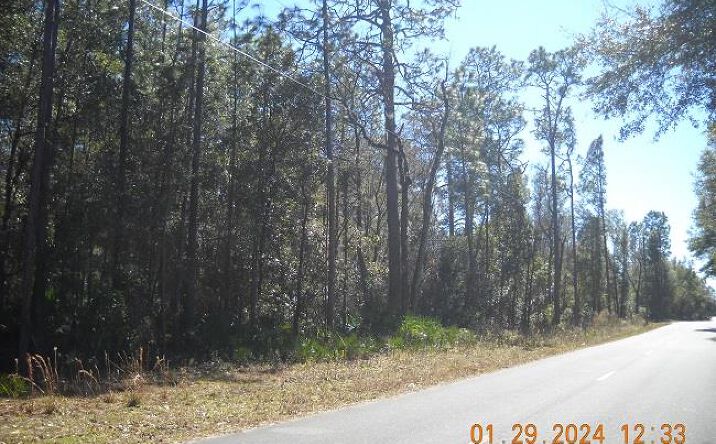 Pictures of Land property located at TBD NE 808th St, Old Town, FL 32680 for sales - image #1