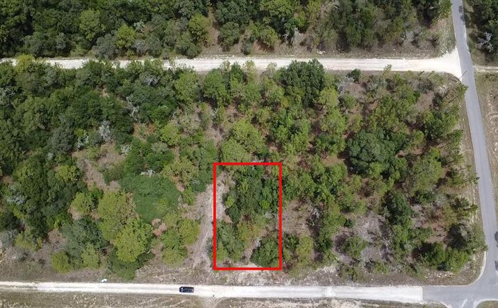 Pictures of Land property located at 00 NE 152nd Ct, Williston, FL 32696 for sales - image #1