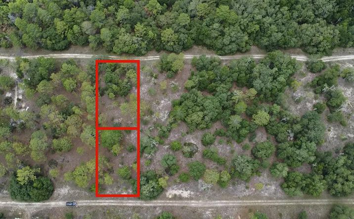 Pictures of Land property located at 00 NE 148th Ct, Williston, FL 32696 for sales - image #1