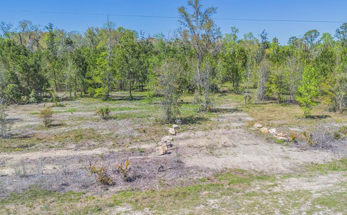 Pictures of Land property located at 0 SW Hwy 361, Jena, FL 32359 for sales - image #1