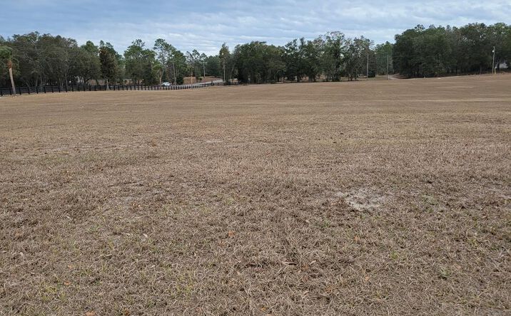 Pictures of Land property located at 3954 NW 31st Ave, Bell, FL 32619 for sales - image #1
