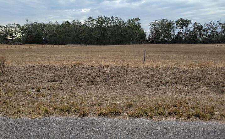 Pictures of Land property located at 3829 NW 46th Court, Bell, FL 32619 for sales - image #1